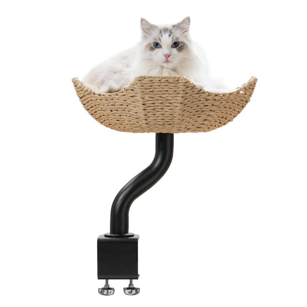 1_c1b56497-f032-4fd5-a9e7-29e56b3ad011 Michu DeskMate Sustainable Desk-Mounted Side Companion Cat Tree - Image 1