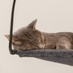 Cloud Nine Window Hammock - Image 3