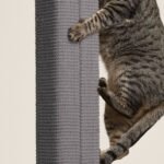 Zip Scratching Post - Image 4