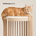 Grove Cat Tower - Image 4