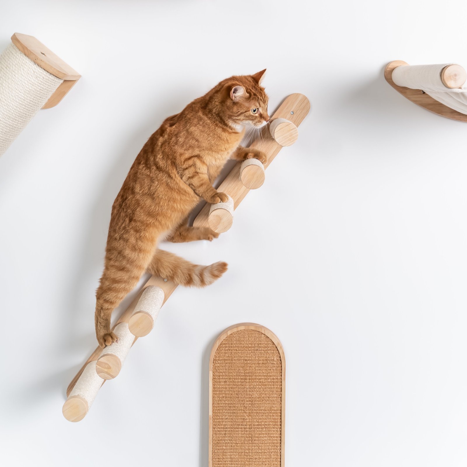 CatTreeKing-cat-climbing-wall-ladder-set-beige-1 Cat Climbing Wall - Ladder Kit (Beige) - Image 1