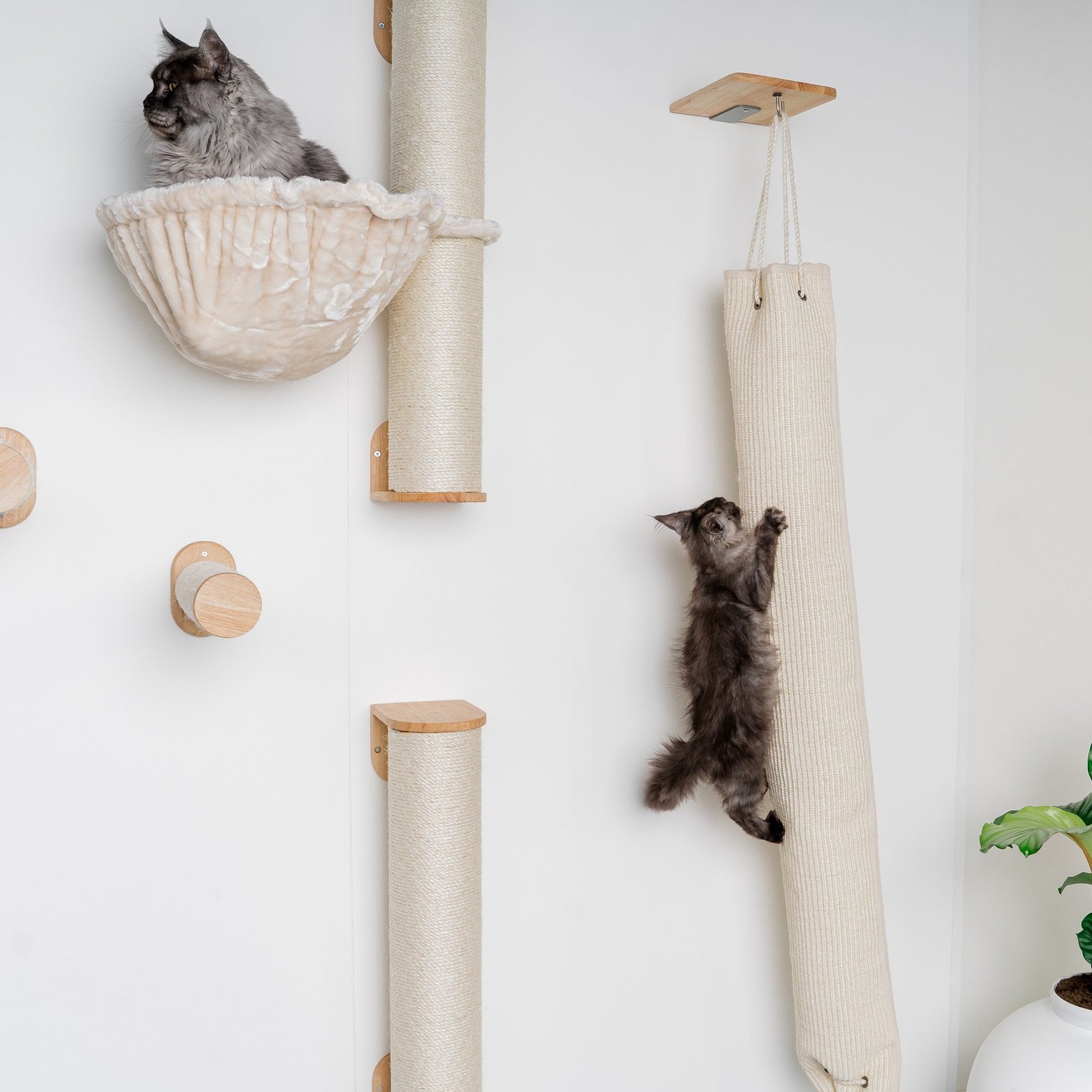 CatTreeKing-climbing-wall-cat-climb-scrambling-bag-beige-1 Cat Climbing Wall - Climb and Scrambling Bag (Beige) - Image 1
