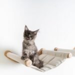 Cat Climbing Wall - Hammock de Luxe XXL (Beige) - Image 11