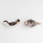 Cat Climbing Wall - Hammock de Luxe XXL (Beige) - Image 12