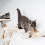 Cat Climbing Wall - Hammock de Luxe XXL (Beige) - Image 2
