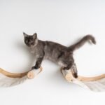 Cat Climbing Wall - Hammock de Luxe XXL (Beige) - Image 3