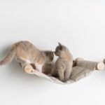 Cat Climbing Wall - Hammock de Luxe XXL (Beige) - Image 9