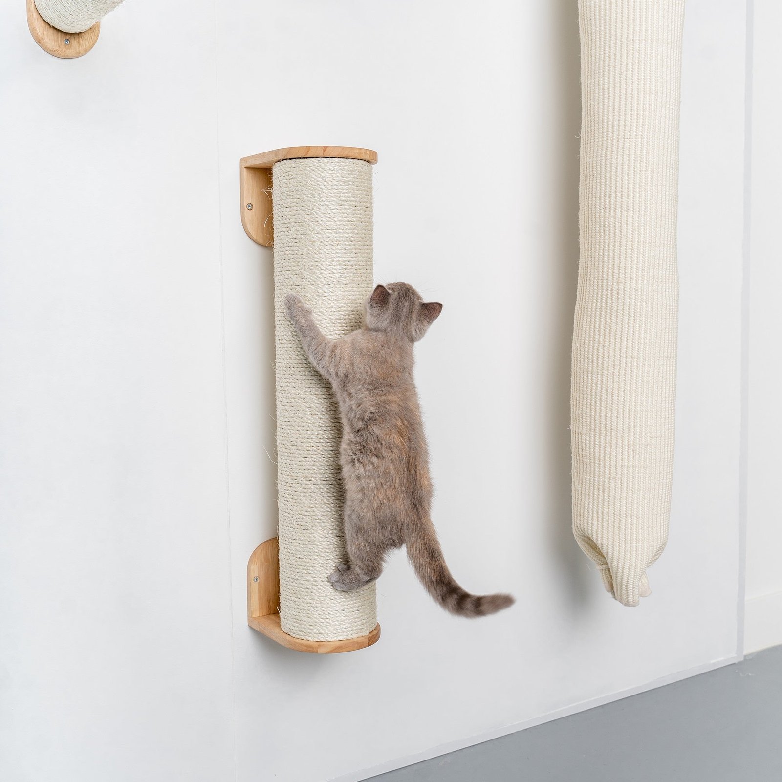 CatTreeKing-climbing-wall-cat-wall-sisalpost-xxl-beige-2 Cat Climbing Wall - Sisalpole XXL (Beige) - Image 1