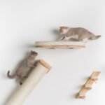 Cat Climbing Wall - Sisalpole XXL (Beige) - Image 3