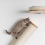 Cat Climbing Wall - Sisalpole XXL (Beige) - Image 9