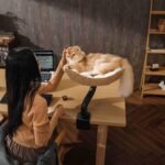Michu DeskMate Sustainable Desk-Mounted Side Companion Cat Tree - Image 6