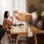 Michu DeskMate Sustainable Desk-Mounted Side Companion Cat Tree - Image 8
