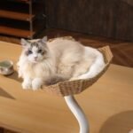 Michu DeskMate Sustainable Desk-Mounted Side Companion Cat Tree - Image 11