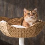 Michu DeskMate Sustainable Desk-Mounted Side Companion Cat Tree - Image 12