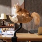 Michu DeskMate Sustainable Desk-Mounted Side Companion Cat Tree - Image 5