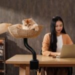 Michu DeskMate Sustainable Desk-Mounted Side Companion Cat Tree - Image 10