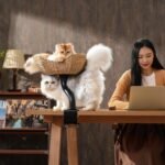Michu DeskMate Sustainable Desk-Mounted Side Companion Cat Tree - Image 18