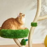 Michu Verde Solid Wooded Base Cat Tree - Image 7