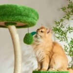 Michu Verde Solid Wooded Base Cat Tree - Image 12
