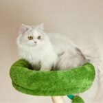 Michu Verde Solid Wooded Base Cat Tree - Image 14