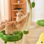 Michu Verde Solid Wooded Base Cat Tree - Image 16
