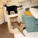 Grove Cat Tower - Image 8