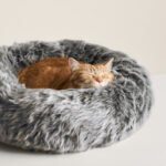 Nuzzle Cat Bed