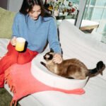 Kip Cat Bed - Image 11