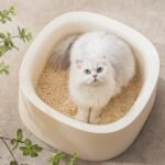 Michu Macaron High Edge Cream White Open Style Extra Large Cat Litter Box Designed by MEOOF XL - Image 3
