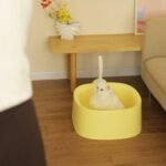 Michu Macaron High Edge Cream White Open Style Extra Large Cat Litter Box Designed by MEOOF XL - Image 15