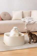 Michu Macaron High Edge Cream White Open Style Extra Large Cat Litter Box Designed by MEOOF XL - Image 11