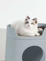 Michu XL Castle 2-in-1 Semi- Closed Cat Litter Box with Scratch Basin & Scoop Included Morandi Green - Image 8