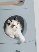 Michu XL Castle 2-in-1 Semi- Closed Cat Litter Box with Scratch Basin & Scoop Included Morandi Green - Image 9