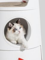 Michu XL Castle 2-in-1 Semi- Closed Cat Litter Box with Scratch Basin & Scoop Included, White - Image 6
